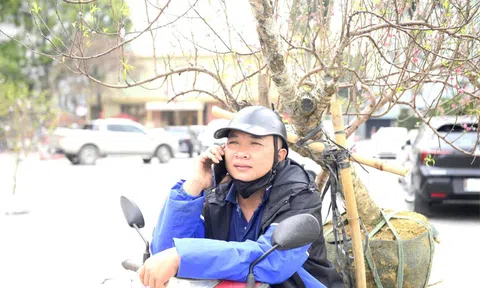 Chở "mùa xuân" trên yên xe về phố, kiếm chục triệu mỗi ngày giáp Tết