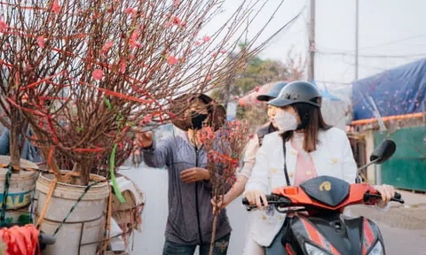 Miền Bắc nắng ấm trước khi chuyển mưa rét