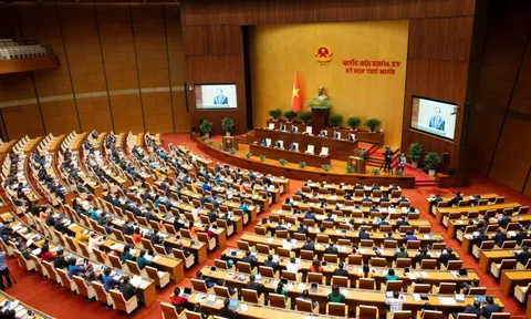 Chi tiết đơn vị bầu cử, ứng viên đại biểu Quốc hội khoá XVI tại 34 tỉnh, thành