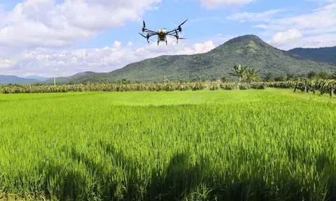 Tương lai mới trên những “cánh đồng không dấu chân”