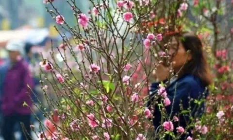 Thời tiết từ mùng 2 đến mùng 6 Tết Bính Ngọ