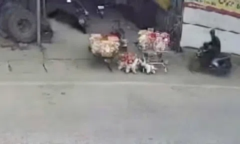 2 trẻ bị 'ma men' tông văng khi đang chơi trước nhà, một cháu tử vong