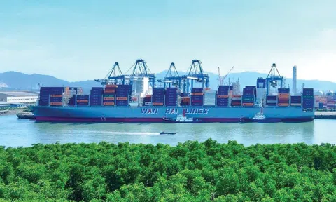 TP.HCM vươn tới đại dương