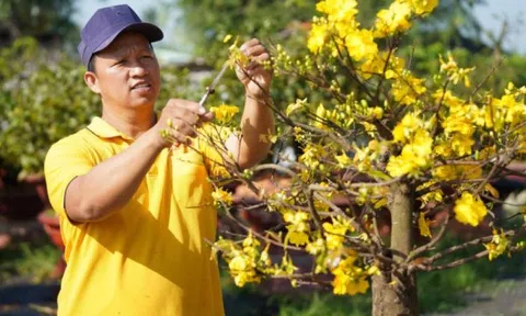 Thời tiết ngày mùng 5 Tết: Miền Nam có nơi nóng hơn 35°C