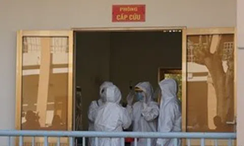 TP Hồ Chí Minh tăng cường phòng, chống nguy cơ xâm nhập virus Nipah