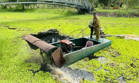 Thủ tướng: Chủ động ứng phó xâm nhập mặn bất thường tăng cao, không để người dân thiếu nước ngọt