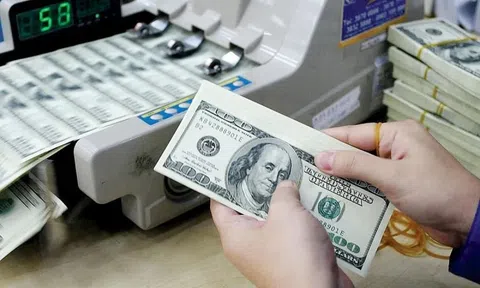 Tỷ giá USD hôm nay 9.2: USD trong nước điều chỉnh nhẹ, thế giới giằng co