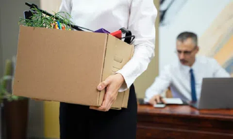 Mùa chuyển nghề sau Tết