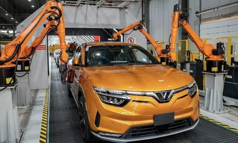 Vươn mình bằng nội lực