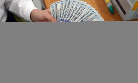 Tỷ giá USD hôm nay 24.2: USD bật tăng mạnh trên thị trường tự do