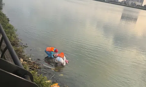 Tìm tung tích người tử vong bên bờ đá sông Hàn