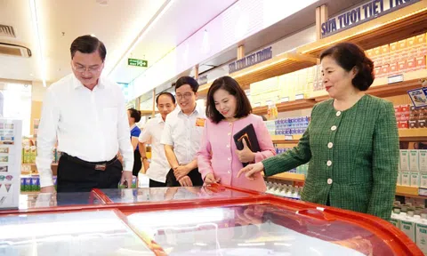 Lãnh đạo UBND TP.HCM thăm, chúc Tết doanh nghiệp