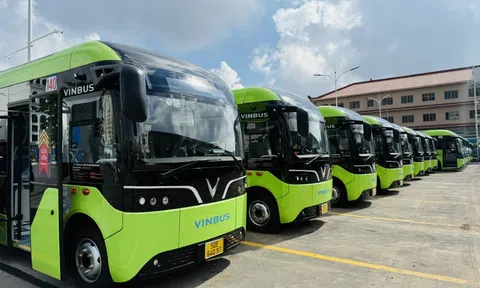 Thêm 169 xe buýt điện lăn bánh, TP.HCM dần xanh hóa giao thông công cộng