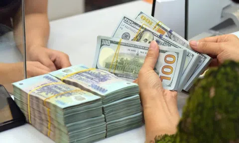 Tỷ giá USD hôm nay 14.2: Ngân hàng đồng loạt điều chỉnh, “chợ đen” neo cao