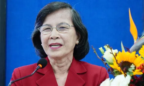 Bà Phạm Phương Thảo: Cán bộ Đoàn ứng cử đại biểu Quốc hội và HĐND như vào một trường học lớn