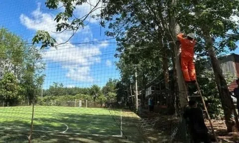 Thiếu niên 14 tuổi tử vong nghi do điện giật khi đá bóng tại Đồng Nai