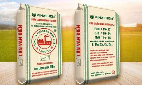 Phân lân Văn Điển bị truy thu gần 2,8 tỷ đồng thuế sau kiểm toán