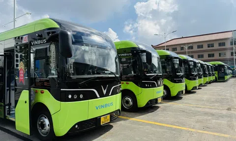 TP.HCM: Miễn phí vé 118 tuyến xe buýt và metro ngày bầu cử