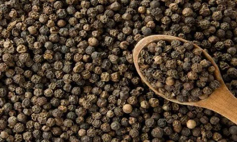 Giá tiêu hôm nay 3.3: Nguồn cung tăng, nội địa lùi sát mốc 146.000 đồng/kg