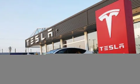 Doanh số Tesla phục hồi tại châu Âu