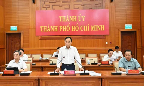 TP.HCM hoàn thành phát thẻ cử tri chậm nhất trong ngày 10/3