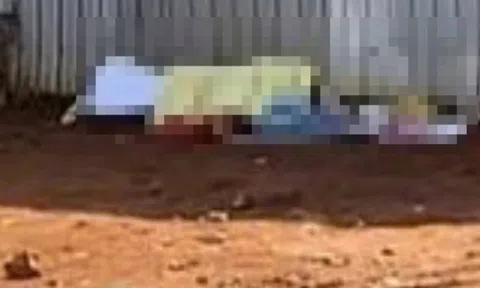 Phát hiện thi thể trẻ sơ sinh tại khu đất trống