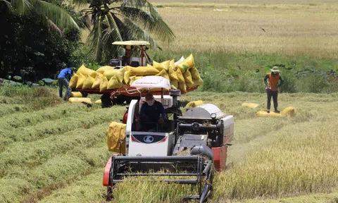 Bộ Nông nghiệp và Môi trường trả lời cử tri về giải pháp kiểm soát giá vật tư nông nghiệp