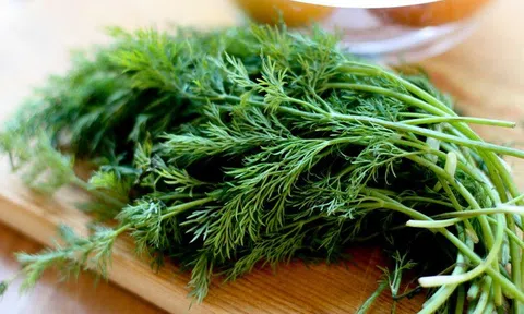 Ăn rau thì là đúng cách có thể mang lại nhiều lợi ích cho cơ thể