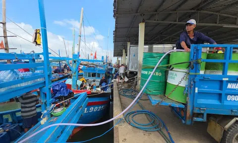 Giá xăng dầu tăng, ngư dân âu lo đứng trước biển