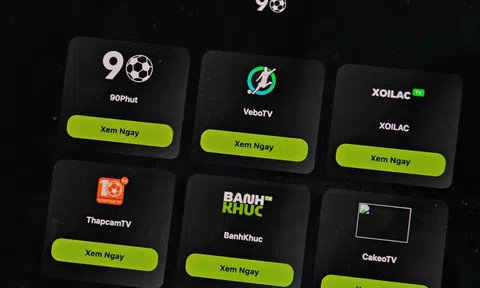 Hệ thống web lậu xoilac, vebo, thapcam 'đóng băng'