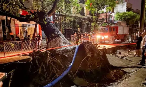 Cây lớn bật gốc đổ ngang đường, nhiều hộ dân mất điện