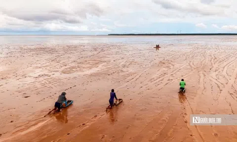 Độc đáo nghề “chạy mong” trên bãi bồi ven biển Mỏ Ó