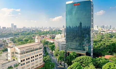 Cổ đông GELEX có thể nhận cổ phiếu và cổ tức lên tới 53%