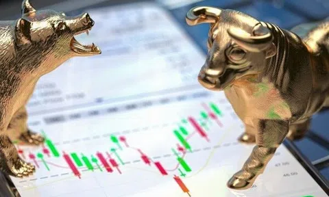 Giữa lúc thị trường biến động, SHS gợi ý cơ hội đầu tư