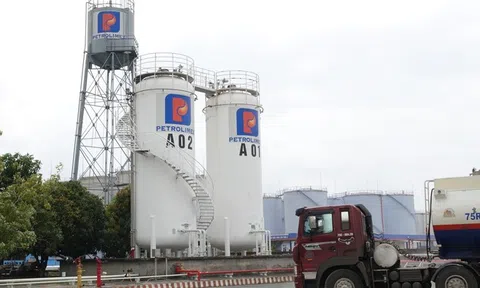 Cú sốc năng lượng và 'cơ' trong 'nguy'