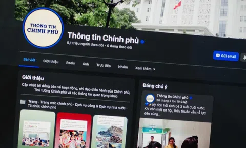 Trang Thông tin Chính phủ bị giả mạo