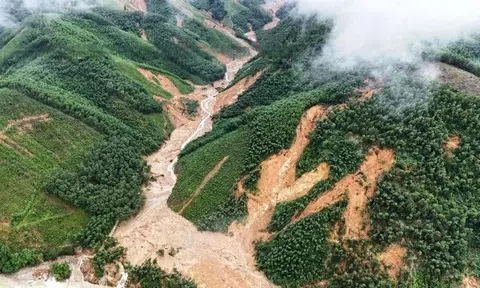 Bạch Mã mưa gần 500 mm chỉ trong một đêm