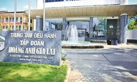 HAGL bổ nhiệm Phó Tổng Giám đốc