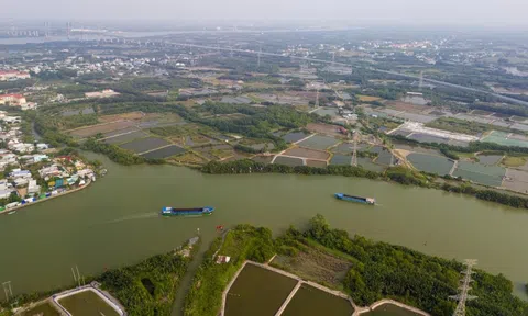 TP.HCM thúc tiến độ cầu Cần Giờ