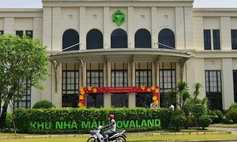 Cổ phiếu tăng dựng đứng, điều gì đang xảy ra tại Novaland?