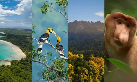 Club Med Borneo chính thức mở đặt chỗ cho điểm đến nghỉ dưỡng rực rỡ nắng vàng tại Kota Kinabalu, Malaysia