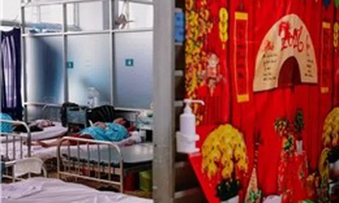 Những người không có Tết do sốt xuất huyết Dengue