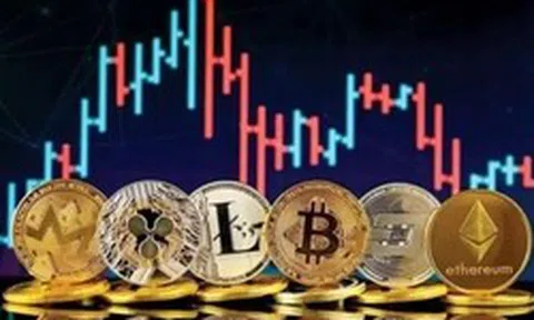 Cựu cán bộ trường đại học chiếm đoạt 11 tỷ đồng của cháu họ rồi 'nướng' vào sàn Forex