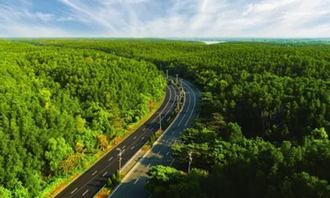 Vịnh Ngọc: Nơi “hít thở sâu oxy nguyên sinh mỗi ngày” định hình chuẩn xa xỉ mới