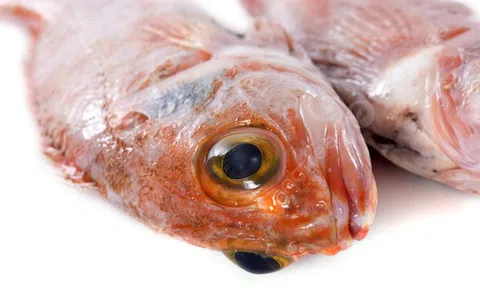 2 loại cá chứa nhiều thủy ngân, loại số 1 dù thích đến mấy cũng "giữ mồm giữ miệng"