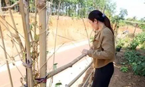 Thêm dự án hạ cốt nền ở Đồng Nai khiến nhà dân 'cheo leo' trên đỉnh đồi