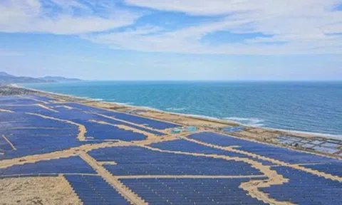 BCG Energy (BGE) biến động nhân sự cấp cao, chậm báo cáo tài chính 2025