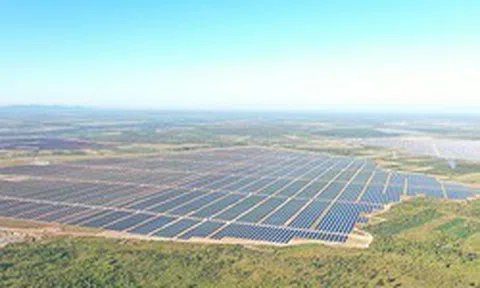 Xử phạt loạt doanh nghiệp nhóm Xuân Thiện