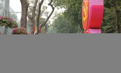 GS David Dapice: Đại hội XIV mở ra 'Đổi mới 2.0' cho Việt Nam