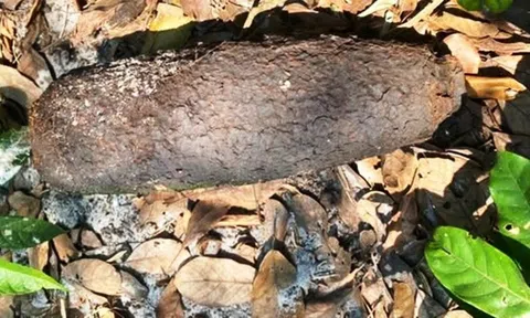 Phát hiện đạn pháo trên cánh đồng ở Huế